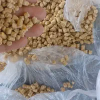 دانه پارس سوپراستارتر بهشاد آفرین
