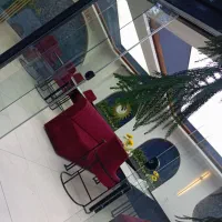 استخدام رستوران مجلل