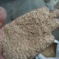 سبوس گندم و خوراک دام و آرد و کنسانتره