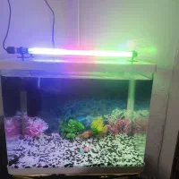 آکواریوم شرکتی