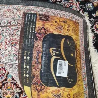 قالی 6متری