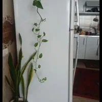 یخچال الکترواستیل سفید نیم ساید بدون برفک درحد