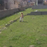 فروش زمین ویلایی در جاده اصلی کلاردشت