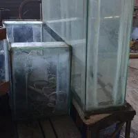 آکواریم