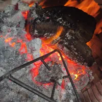 شاگرد