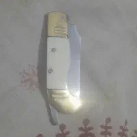 مینی دنده ای
