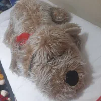 عروسک سگی