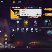 800