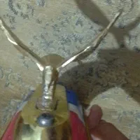 دوچرخه 20اساک قوی