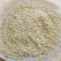 برنج کامفیروزی اصل