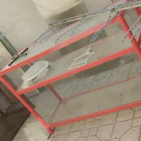 ویترین و رگال