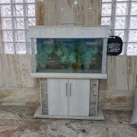 آکواریوم