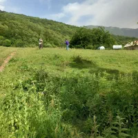 زمین-فروشی