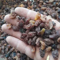 مجول گله کشمش آفتابی گناباد