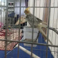 به دلیل جا عوض کردن