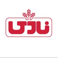بازاریاب( ویزیتور)