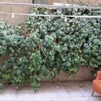 ۴۵متر_طبقه دوم