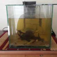 فروش اکواریوم