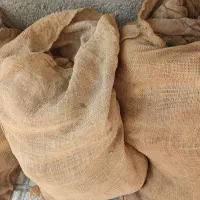 کیسه
