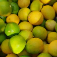 لیمودرجه۲