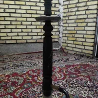 کفتر کرواتی