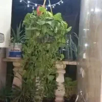 ۵۳ متر نیاززاده|فروش آپارتمان|تهران, زعفرانیه|دیوار