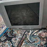 تلوزیون