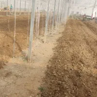 تیلر زدن زمین و باغبانی و