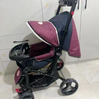 کالسکه  دلیجان مدل بنیتا دسته دوطرفه مناسب سیسمونی