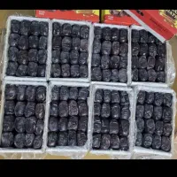 فروش خرما مضافتی بم
