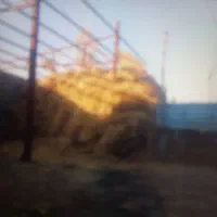 کاه جو.یونجه وعلف وجو.فروشی