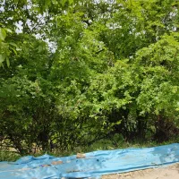 فروش زمین با سند قطعی  جاده وادان - خیابان بوستان