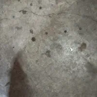 لوازم یدکی ماشین