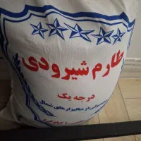 برنج طارم شیرودی