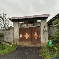 درخت موز|فروش زمین و ملک کلنگی|کوچصفهان, |دیوار