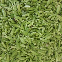 بامیه هوایی