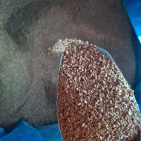 فروش ویژه قهوه فوری عمده
