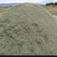 یونجه خورد شده. چین2