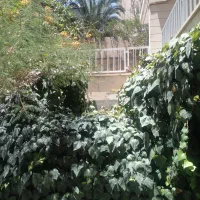 ۱۷۰مترعباس آباد اندیشه۸