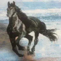 معاوضه تابلو فرش دستباف با گوشی اندروید