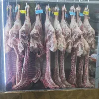 حراج گوشت بره زیر قیمت با کالابرگ