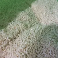 برنج نیمدانه