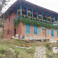 کاهگل نانو اصیل ضد آب تضمینی