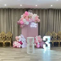 بادکنک آرایی و دیزاین اقتصادی
