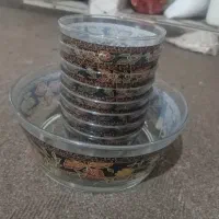 ظرف شیشه ای