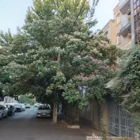 فاطمی گلها 160 متر کلنگی قابل سکونت