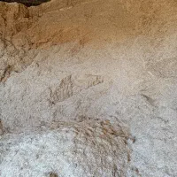 کاه دیم|لوازم جانبی حیوانات|الیگودرز, |دیوار