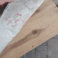 قفس کبوتر