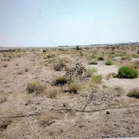 زمین کشاورزی بایر