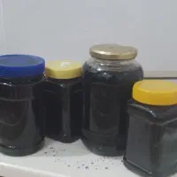 دوشاوگزو